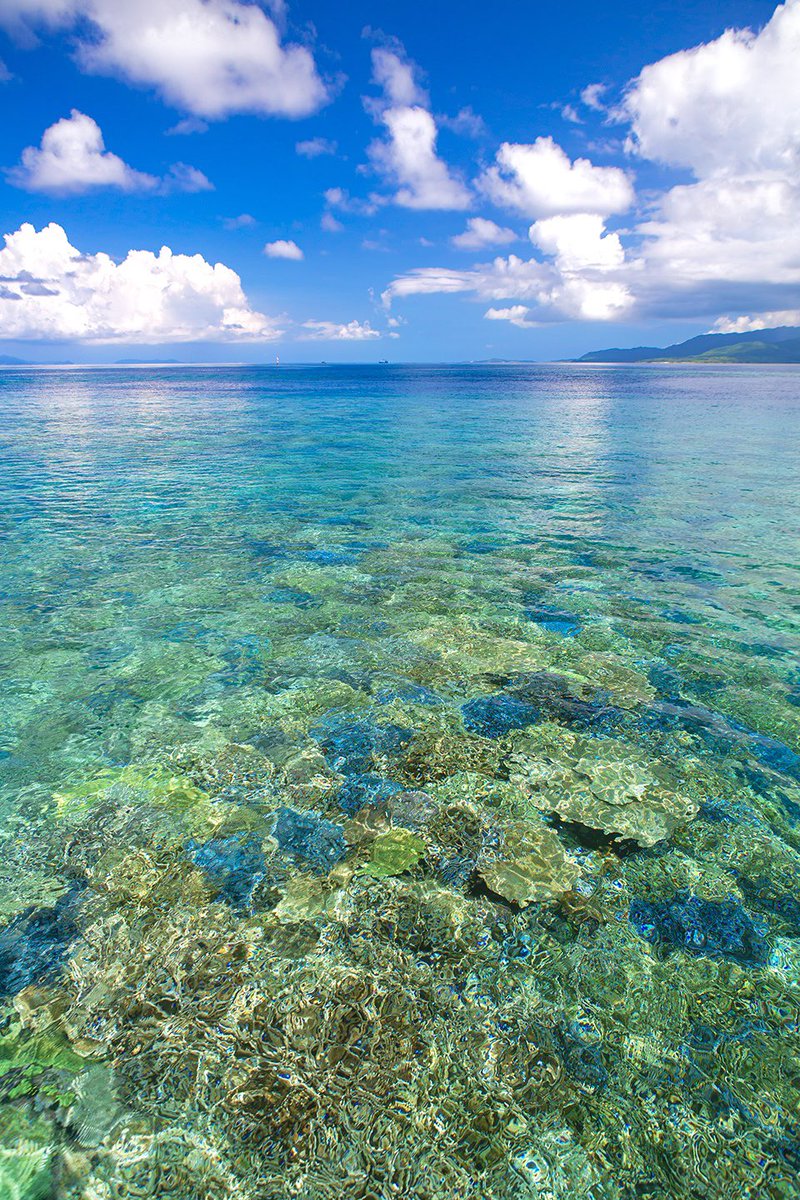 みんなが思うより サンゴは天候で一気に死滅するし みんなが思うより サンゴは速いスピードで成長する 自然の偉大ささと比べると みんなが思うより人は非力だ 癒しの沖縄離島