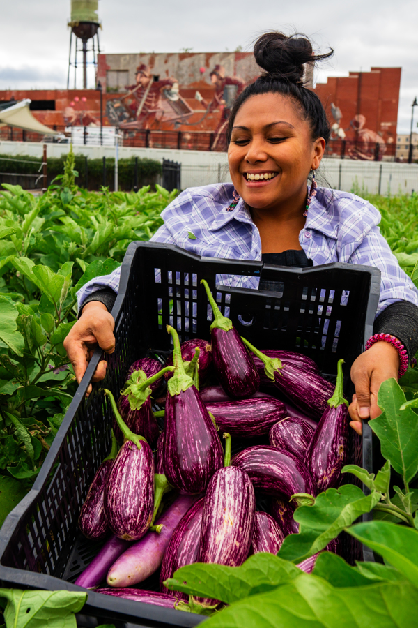 Eggplant harvest at Keep Growing Detroit. A Detroit-based organization dedicated to farm and garden education and food sovereignty. @KeepGrowingDetroit 

Photo Credit: Sarah Rypma