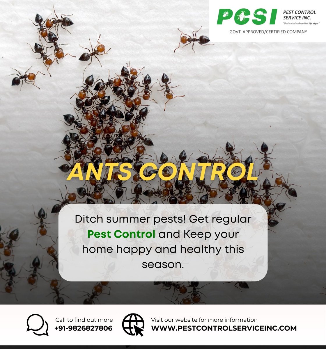 Are ants driving your buggy?  Our Ant Control service gets to the root of the problem, eliminating the colony and preventing them from returning. ️

We use safe & effective methods to keep your home ant-free.  

#antcontrol #pestcontrol #homepestcontrol #Indore