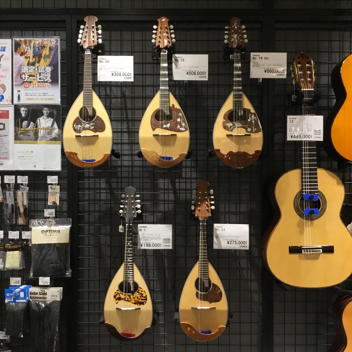 カラーチェマンドリンNo.24 2019年製