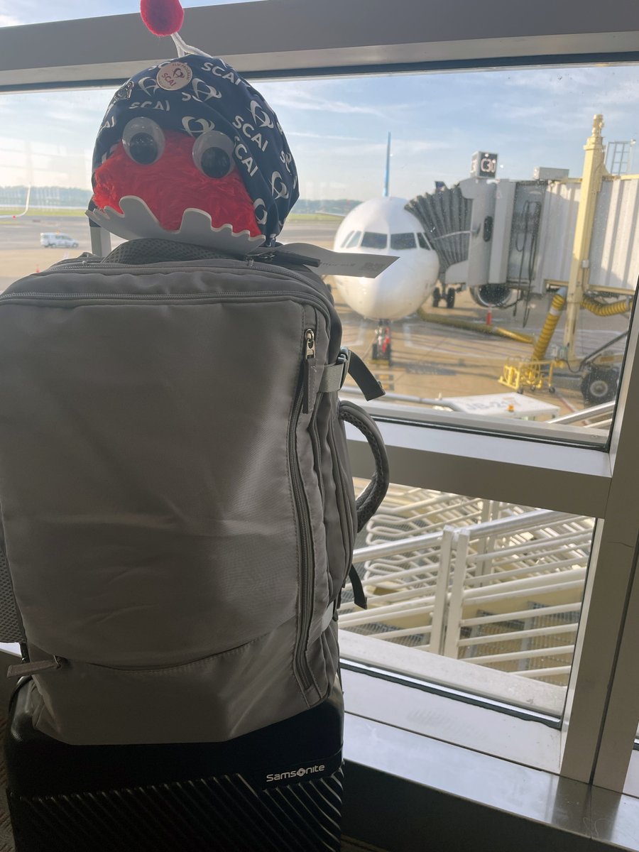 Bon voyage, Stenty! We'll see you in #LongBeach! 🛫 #AdventuresOfStenty #SCAI2024