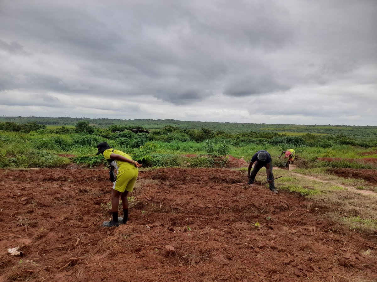 Happy Workers' Day to all the hardworking Agripreneurs out there! 

It's essential to pause and recognize your efforts, celebrate your accomplishments, big and small. 

Your hard work doesn't go unnoticed. You're making a difference. 

#HappyWorkersDay #CelebrateFarmers