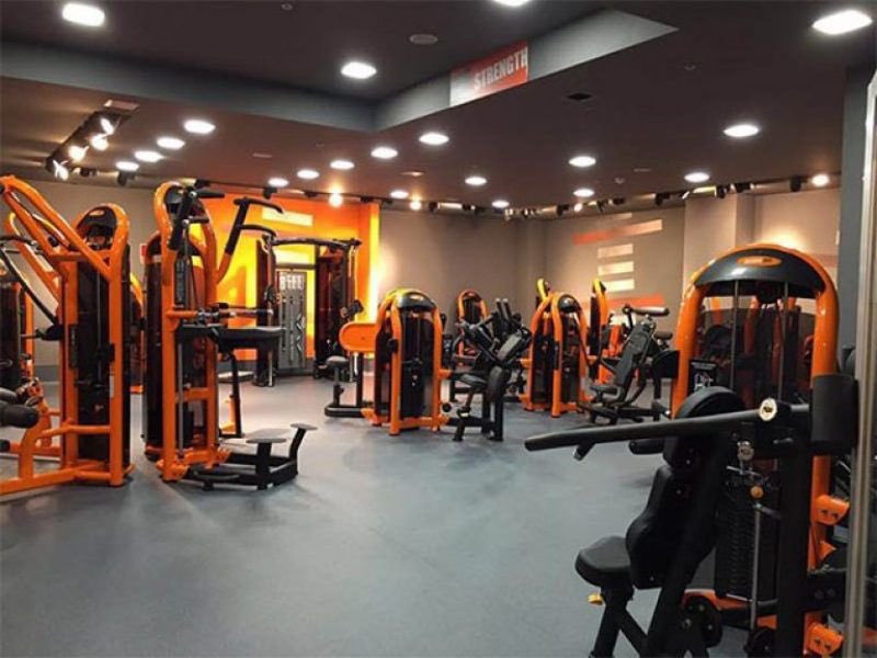 Ir a un gym barato no solo te ofrece el material para entrenar, viene acompañado de auténticos espectáculos visuales.
 Haré una lista de los distintos tipos de personas que "entrenan" en estos antros que más me han llamado la atención.