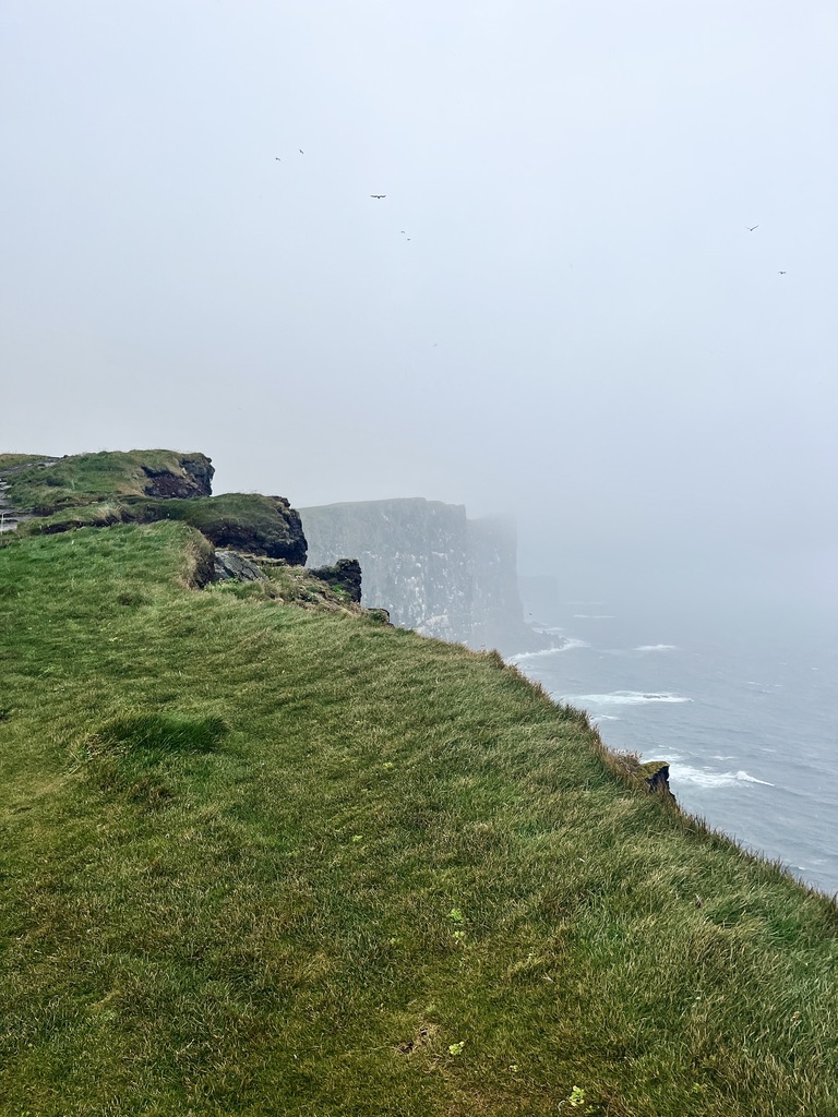 🦅 Los acantilados de Látrabjarg son el punto más occidental de Europa y, a la vez, el hogar de más aves marinas que ningún otro rincón del continente. 🇮🇸 Es uno de los rincones más agrestes e impresionantes de los #FiordosdelOeste de #Islandia 👉🏼 wp.me/pbrdMg-1Ts