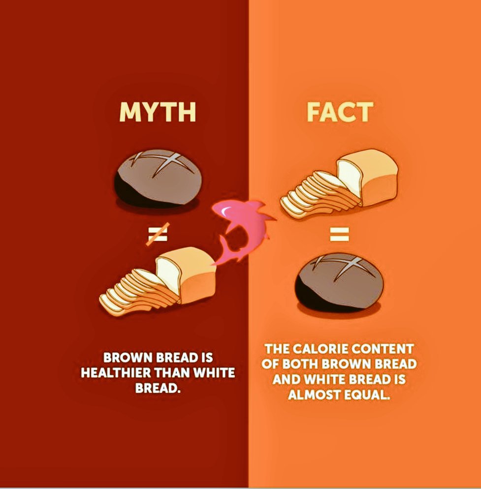 myths Vs fact (@mythVSfacct) on Twitter photo 2024-05-01 10:58:25
