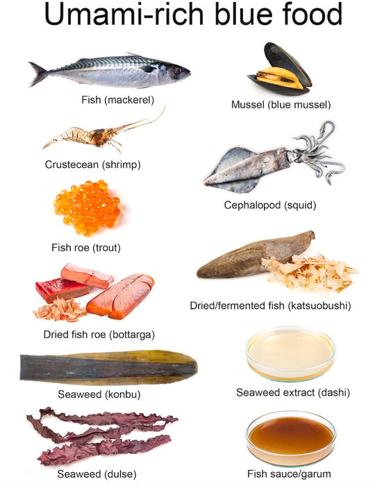 Aiming to be flexitarian: How fish, seafood, and sea vegetables can liven up your 5 a day and get you to eat more.  OT but very very interesting
patienttalk.org/fixin-to-be-fl…