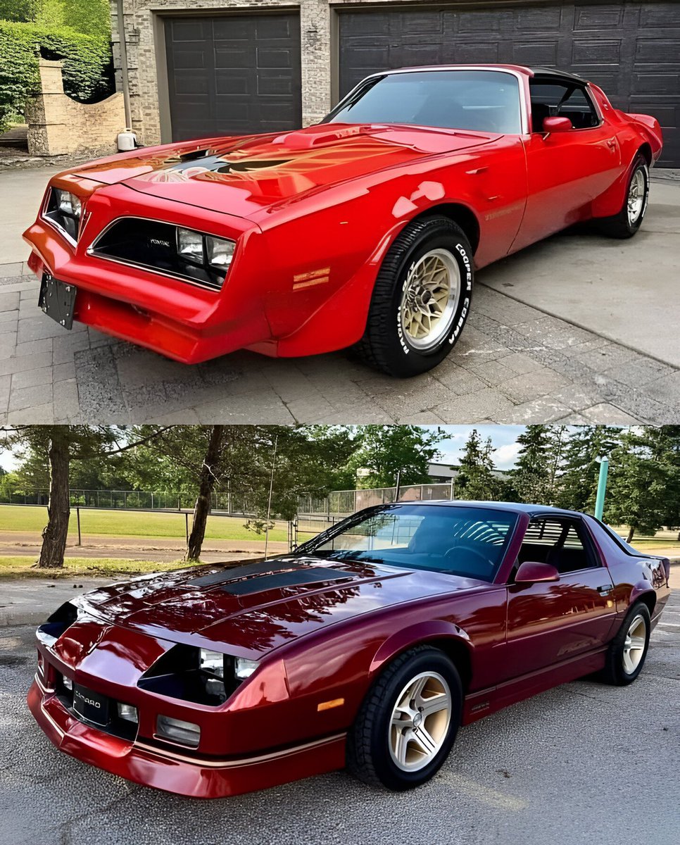 Top or bottom?