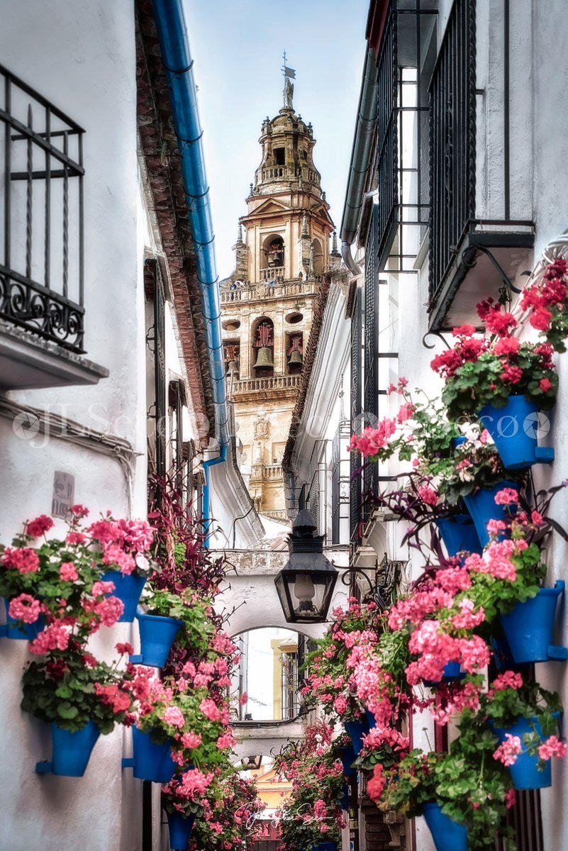 Enero, febrero, marzo, abril y Córdoba...!! Bienvenidos al mayo cordobés..!!
<a href="/Cordoba_spain/">ℂÓℝ𝔻𝕆𝔹𝔸</a> <a href="/CordobaESP/">Turismo de Córdoba</a> <a href="/VerCordoba/">Que ver en Córdoba</a> <a href="/TurismoAndaluz/">Turismo Andalucía</a> <a href="/viveandalucia/">Vive Andalucía</a>