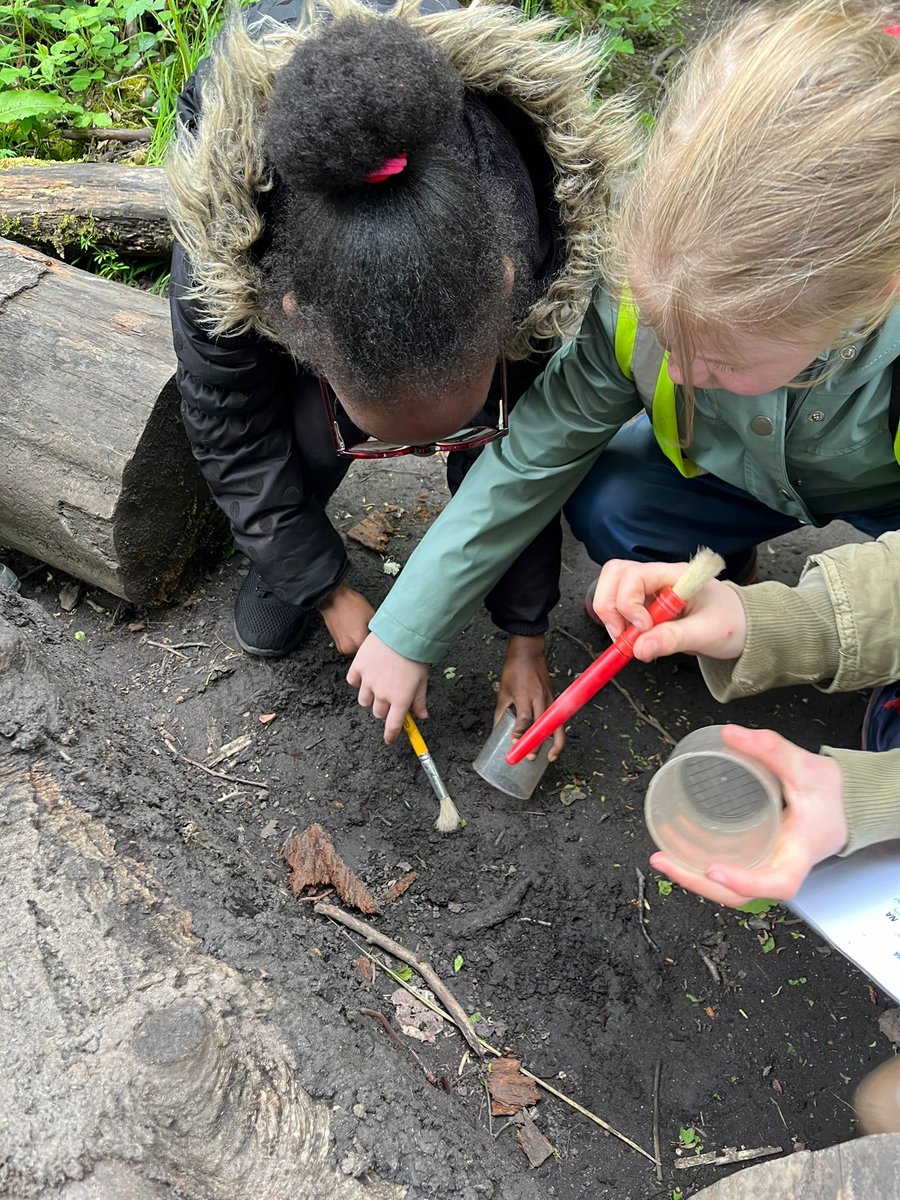 A great day at Newport Wetlands for Year 4!