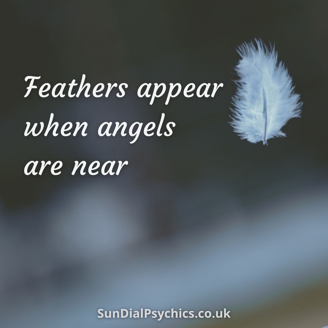 SunDialPsychics's tweet image. 🪶Contact our gifted readers for your messages from heaven. Let your loved ones pass on their wisdom 👉 #SunDialPsychics 

#angels #angelfeather #WednesdayWisdom #lawofattraction #manifestation #superattractor #highervibration #empath #intuition #starseed #gratitude #tarot #love