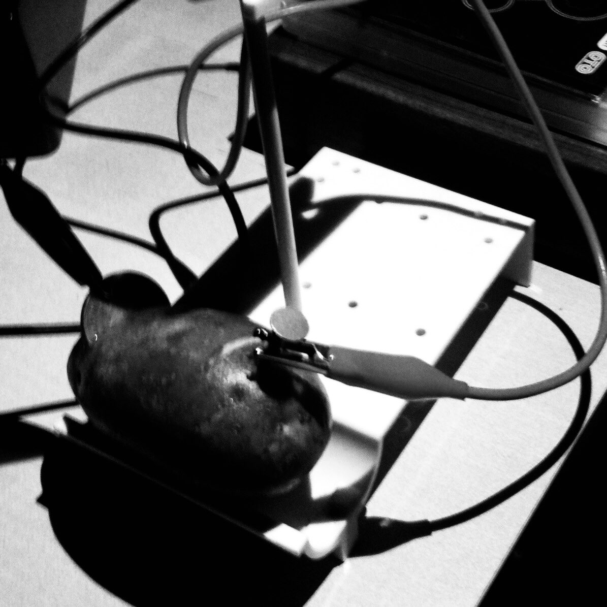 A photo from 5th September 2015. Applying electrodes to a potato, to generate electric current, to manipulate various parameters on a Buchla 200e. The result was ‘The Reactivity Series 1 - Potato’ which is on ‘Archive 1: Ambience’. Released on Friday! cafekaput.Bandcamp.com