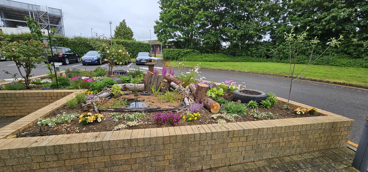 #NationalGardeningWeek We're not all just software here at Pegasus, take a glimpse at our wonderful community garden that we work together to maintain #employeeengagement #greatplacetowork #communitygarden