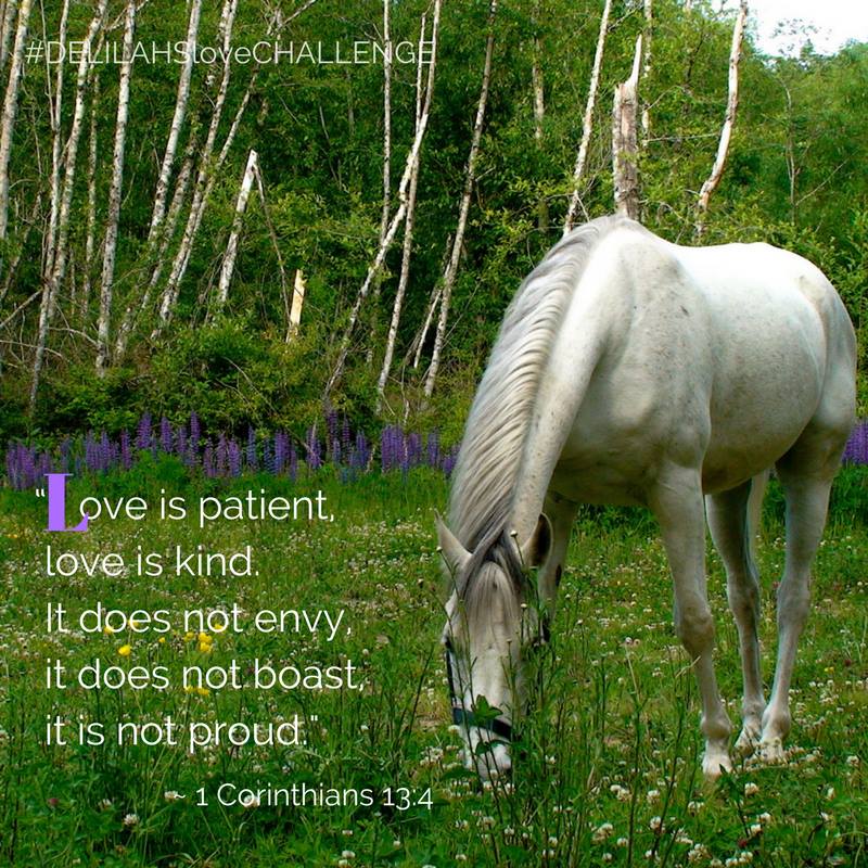 Practice patience.Take a walk, count to ten, breathe. Don't let anything disturb your peace of mind. Love is patient, love is kind...