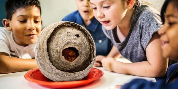 'Young children rarely have the opportunity to get bored any more, says Helen Pinnington, but we can create moments of curiosity to spark their imaginations' buff.ly/3xMP3eB