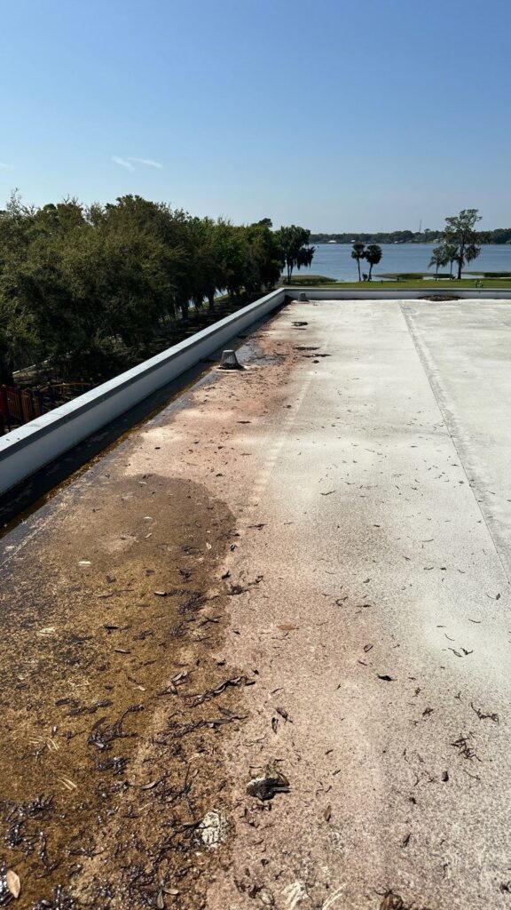 At A.O. Construction, roofing is one of our specialties. Recently, we helped Girls Incorporated of Winter Haven with a roof replacement for their shingle and TPO roof. Check it out in our latest Project Build Blog. #ProjectUpdate #DesignBuild aoconstructionco.com/girls-inc-of-w… @wagnerconst
