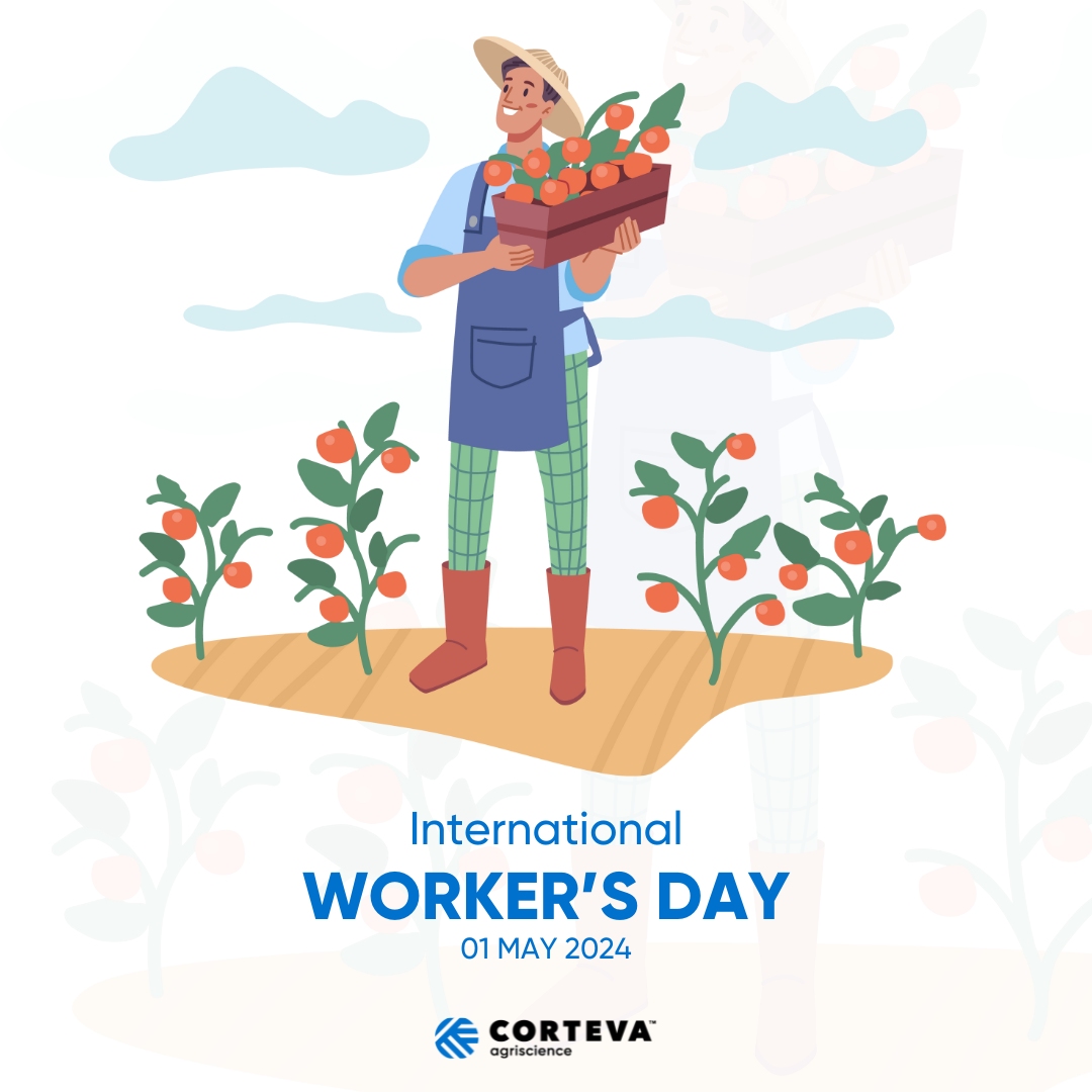 Corteva Agriscience honours all hardworking individuals in agriculture this #InternationalWorkersDay. Our dedicated employees drive innovative solutions for a sustainable future. We thank our colleagues and all agriculture workers for their commitment to our food systems.