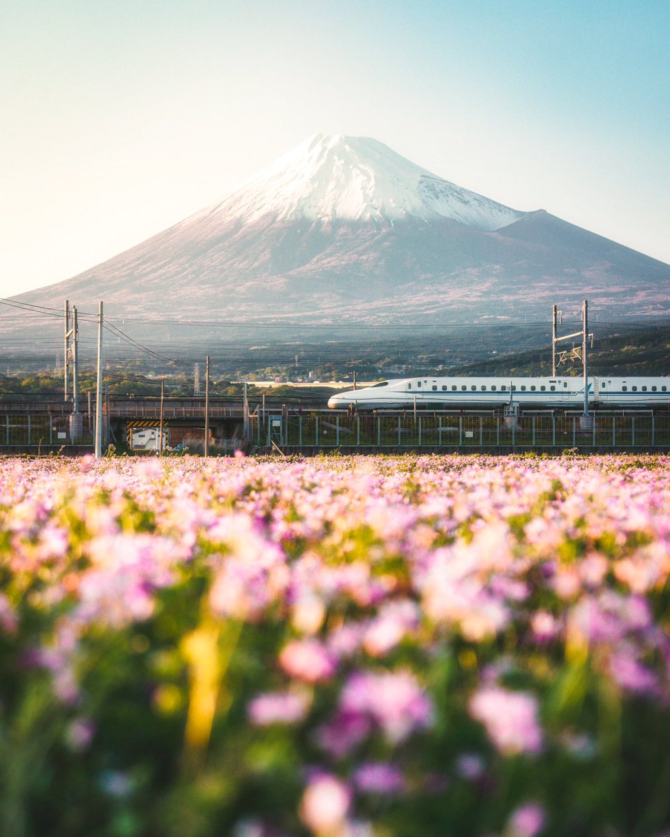 いわゆる決算の景色が美しい