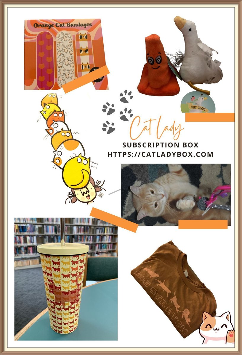 This subscription box is a great idea for any cat lover! @catladybox #cats #catladybox #subscriptionboxforcats  mail4rosey.com/2024/04/orange…