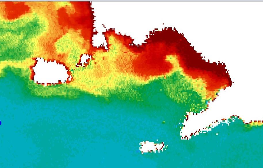 Completing the first Lagrangian experiment on the coastal submesoscale, fed by rivers. Three vessels, including @TaraOcean_ , with full omics protocols, 26 drifters, one Argo float, a glider, two turbulence profilers etc etc @SPiccolroaz @SznDohrn @OGS_IT @CNRsocial_