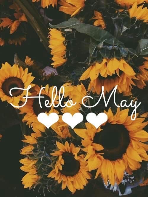 Hello,May!🌻
May the beauty of this month inspire you to blossom 🌼