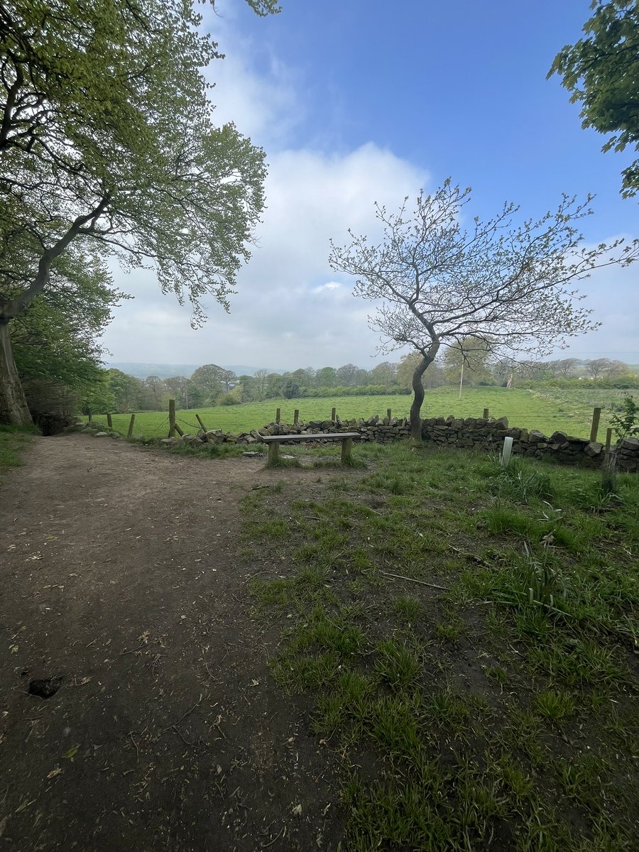 May is National Walking Month! 

There are some beautiful spots within a 5 minute walk of our Horsforth Campus which makes it easy to build a short walk into your working/studying day.

We had our team meeting whilst walking in the Woods this morning 🌳☀️