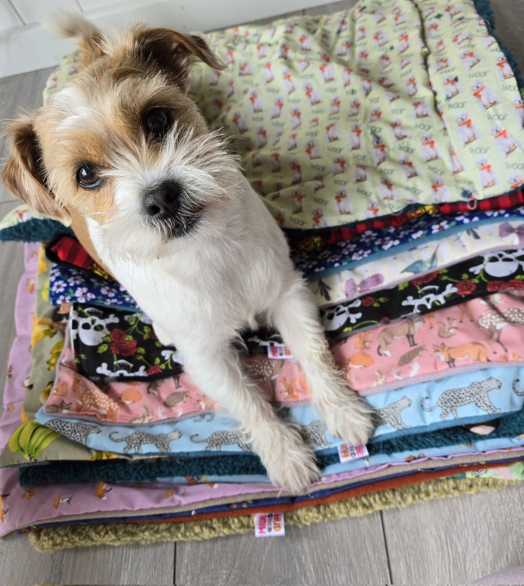 We're running a 30% off clearance sale on our Etsy! Including birthday blankets, patchwork sherpa, Christmas styles & more, only £10 while stocks last! Making way for new summer styles 🥰 check it out >> etsy.com/uk/listing/168… #dogsofX