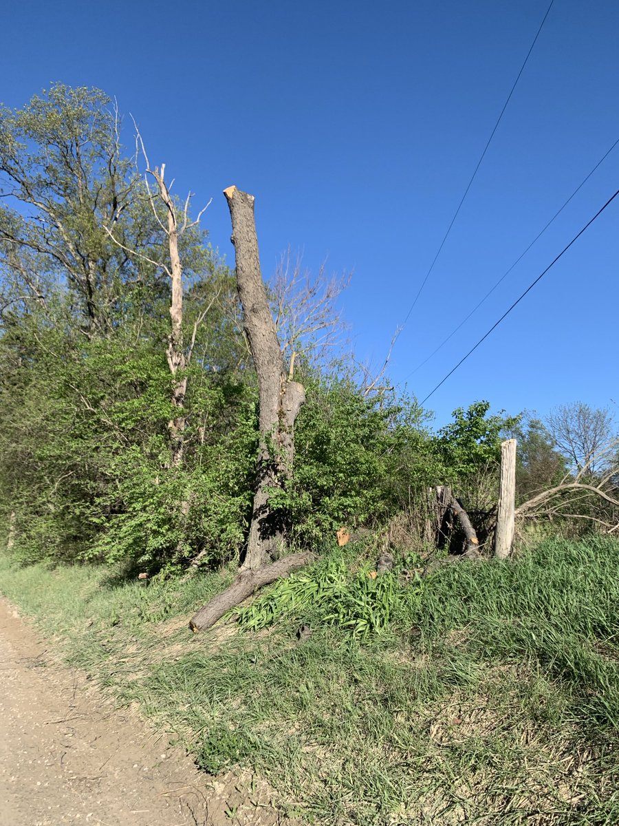 Seriously, ⁦@DTE_Energy⁩ and Wright Tree “Service”? Would you leave your neighborhood looking like this? Rural neighborhoods deserve to be treated with respect. This isn’t it. #Don’tTrashMiNeighborhood