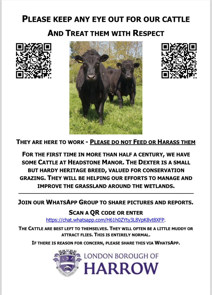For the first time in more than 50 years we will have cattle at Headstone Manor Park, to help manage and improve the grassland &amp; vegetation within the Wetland area.

#headstone #headstonemanorpark #harrow