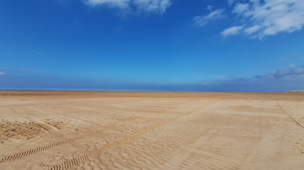 Catherine tweet media