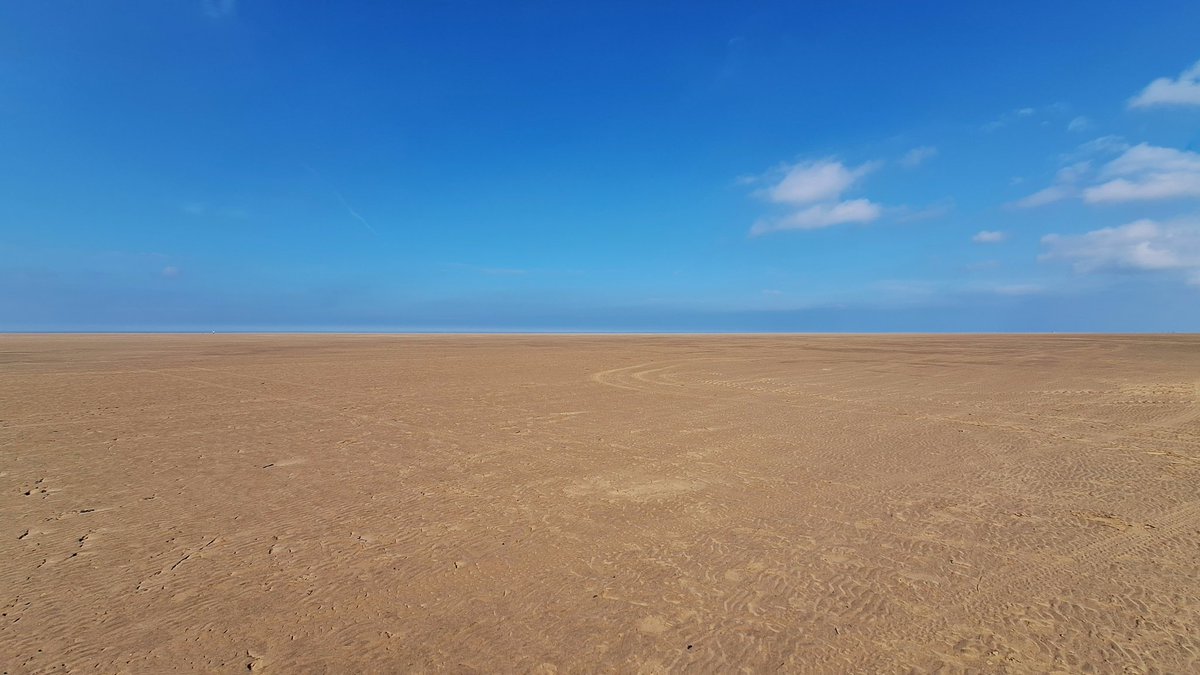 Catherine tweet media