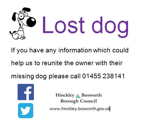 LOST DOG, Border collie, male, age nine years, black and white, mucky underbelly and tail as working sheep dog, old fabric collar, friendly, not chipped. Lost from Fenn Lanes on fields on 30/04/2024
at 3:29pm. If spotted, please call: 07798808710. #lostdog PLEASE SHARE.