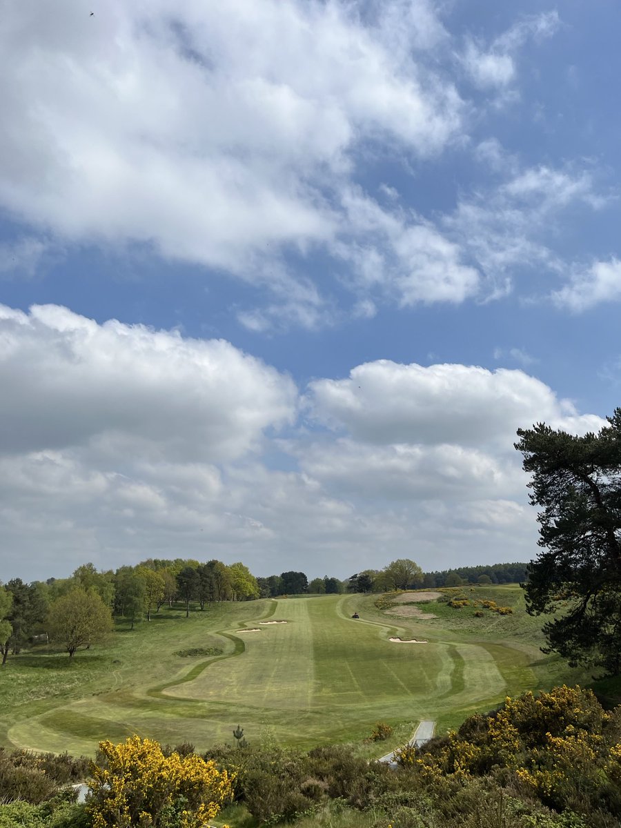 Andrew Williamson tweet media