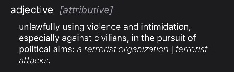 According to the dictionary definition, Gideon Falter is a terrorist, is he not?