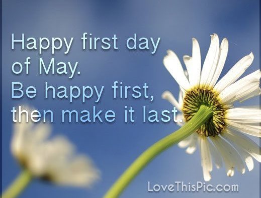 Happy May 1st Friends!! Enjoy all the beauty it brings! 🩵🌼🌹🌺🐇🐇