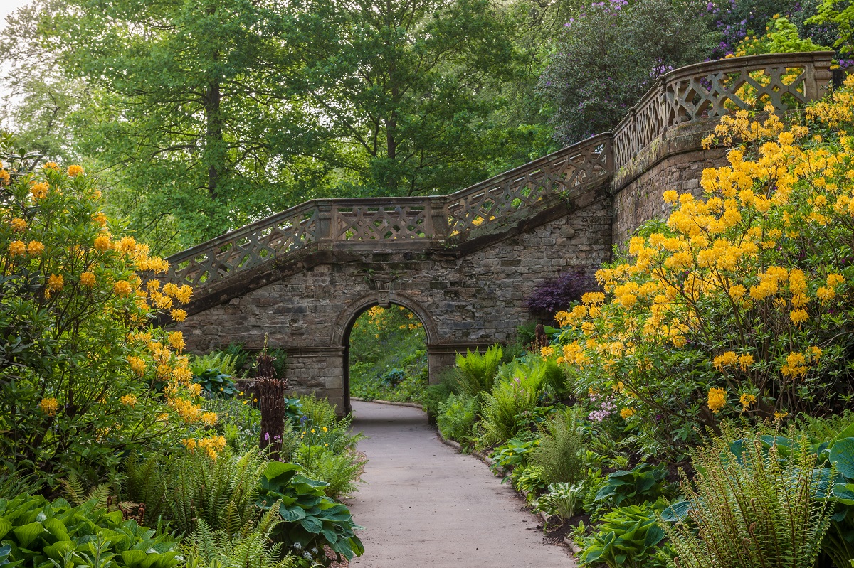 The enchanting Golden Stairs are a dazzling display of yellow and green! 💛 #HeverCastle