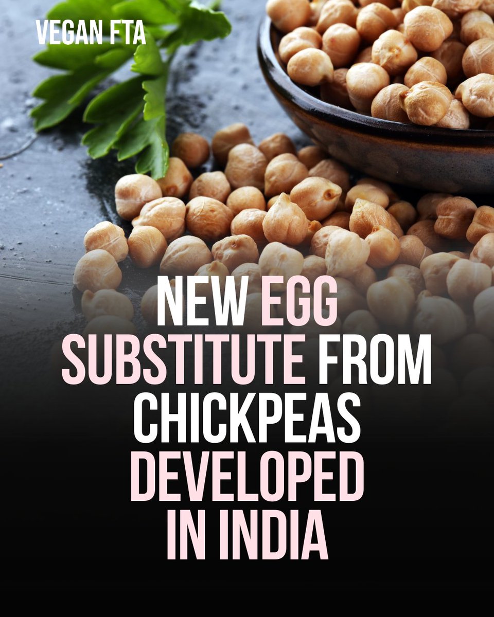 India has developed a new egg substitute from chickpeas with precision fermentation. 😮🥚

👉️ Read more: veganfta.com/2024/04/04/new…

#egg #eggs #chickpeas #vegan #veganfood #plantbased #india