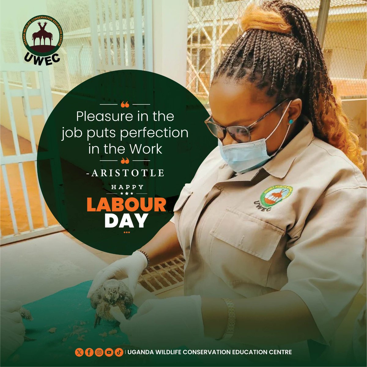 Cheers to all the people making @UWEC_EntebbeZoo a better place. Happy Labour Day!
#happylabourday2024 
#LabourDay2024