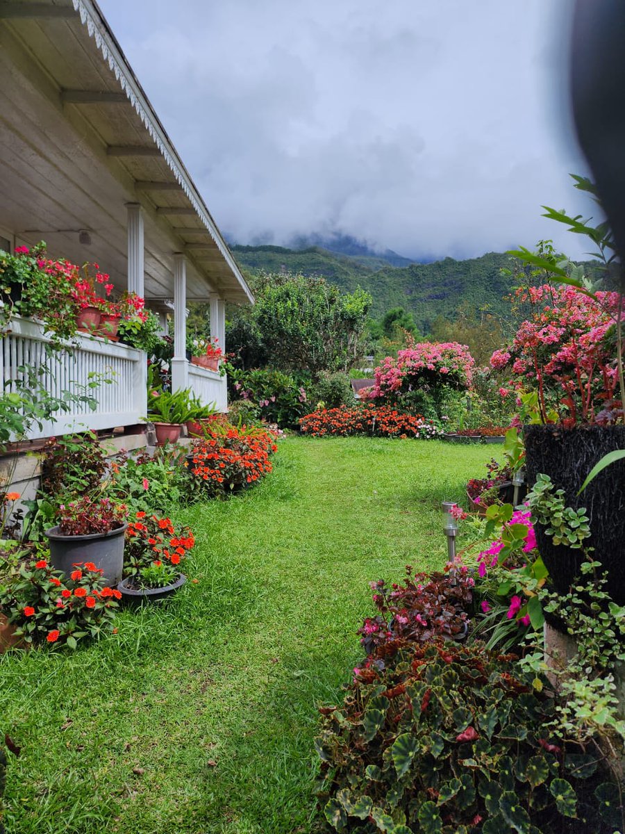 Une maison créole 🇨🇵
Ènn kaz kréol 🇷🇪 Ki sa té vé abit là ?
#iledelareunion #gotoreunion