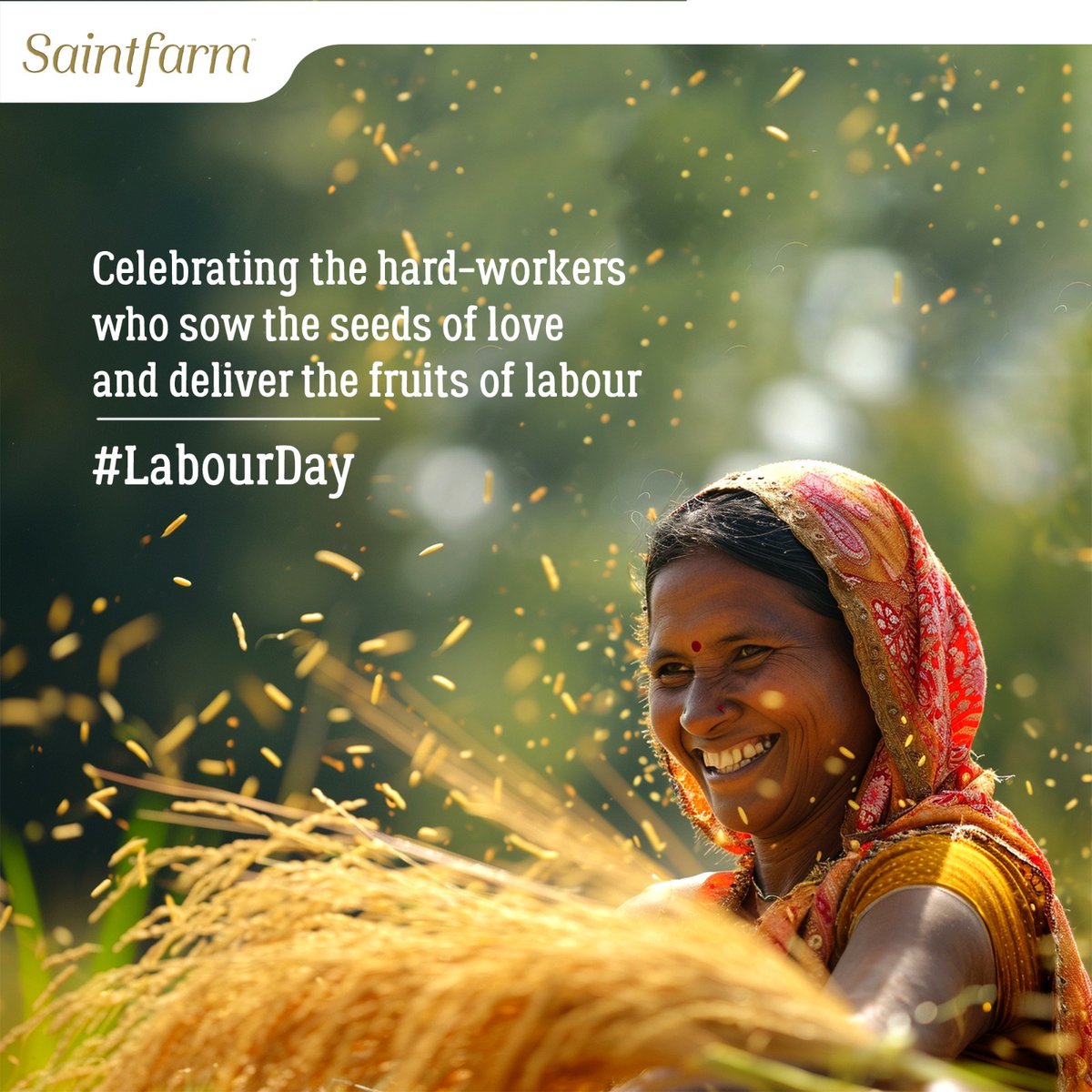 Today and every day, we celebrate the resilience, dedication, and spirit of all the workers who shape our world. Happy Labour Day! 🎉👷‍♂️
.
.
.
.
#saintfarm #saintfarmorganic #organic #organiclove #organicproducts #farmer #farming #organicfarming #labour #labourday #labourday2024