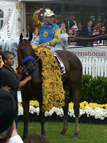 USASteeplechase's tweet photo. The Greatest Decade in Horse Racing? 🧐
1970's - #Affirmed #Alydar #Secretariat #SeattleSlew #SpectacularBid #Forego #RedRum #Nijinsky #BrigadierGerard
2010's - #AmericanPharoah #WiseDan #Justify #Arrogate #CaliforniaChrome #GunRunner #Beholder #Enable #Frankel #HurricaneFly #AnniePower
2000's - #SeaTheStars #SmartyJones #Barbaro #MineThatBird #Curlin #Tiznow #Zenyatta #Ghostzapper #BestMate #KautoStar #Denman #RachelAlexandra
1980's - #SundaySilence #JohnHenry #WinningColors #Shergar #DancingBrave #Alysheba #Ferdinand #DawnRun #DesertOrchid
#GreatestDecade