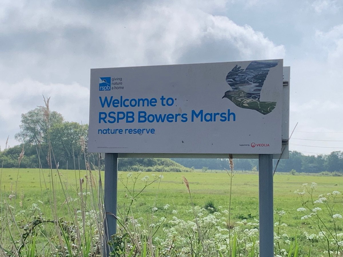 RET have responded to ASB at RSPB Bowers Marsh in Pitsea. 

We met with staff to discuss issues such as quads and motorbikes getting into the reserve and disturbing nesting birds, as well as causing damage to gates and fences.

This huge site is of great ecological importance.