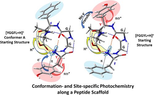 Site-Specific Photochemistry along a Protonated Peptide Scaffold

@J_A_C_S #Chemistry #Chemed #Science #TechnologyNews #news #technology #AcademicTwitter #AcademicChatter

pubs.acs.org/doi/10.1021/ja…