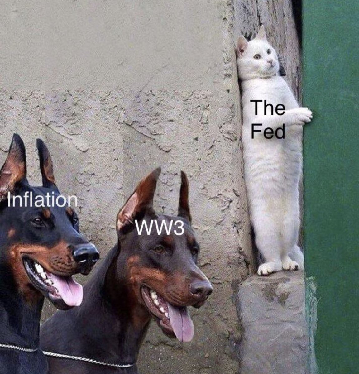 Fed day