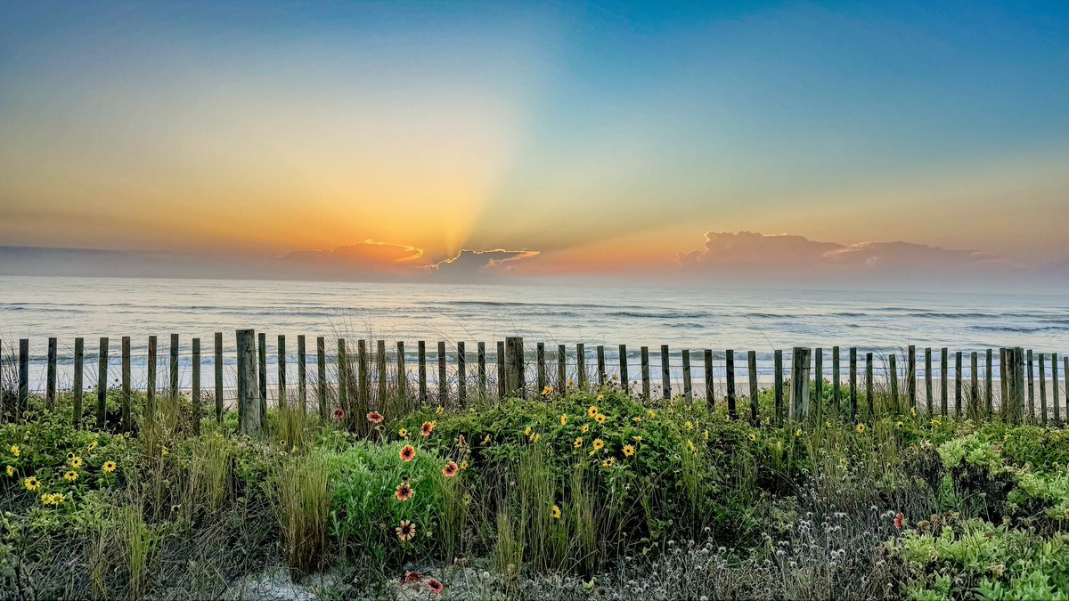 ‘And the day came when the risk to remain tight in a bud was more painful than the risk it took to blossom.” —Anaïs Nin