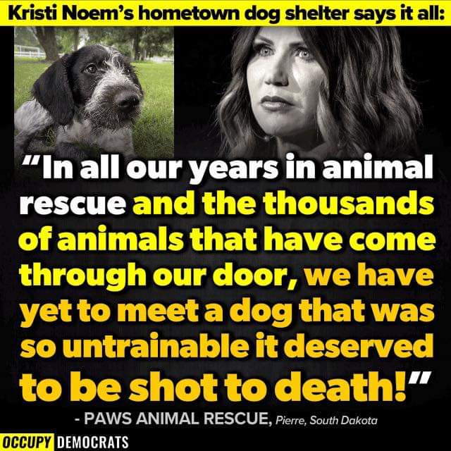 @KristiNoem #KristiNoemIsAMonster #PuppyKiller #RIPCricket #GopAreAThreatToAmerica #BidenHarris4MoreYears #TrumpTrial #LockHimUp