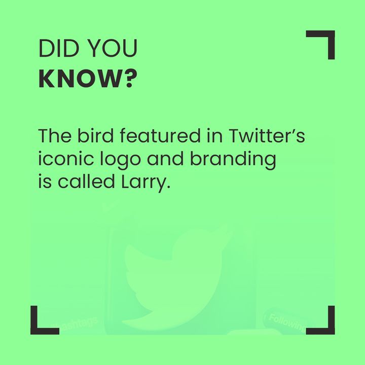 I didn't know this!
#fact #factoftheday #socialmedia #didyouknow #factsdaily
