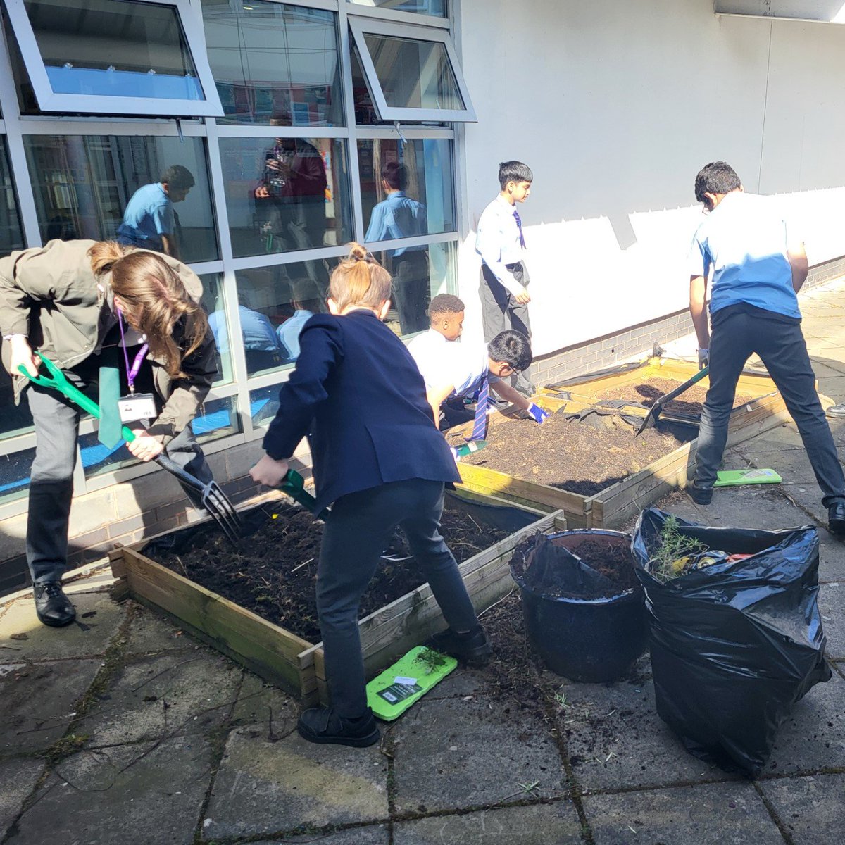 Some of our Arena students have been participating in the 'Grow With STEM' club, an enriching extracurricular activity. Within this dynamic environment, they planted flowers and vegetables in the beds alongside the saplings they had grown over the winter and spring.