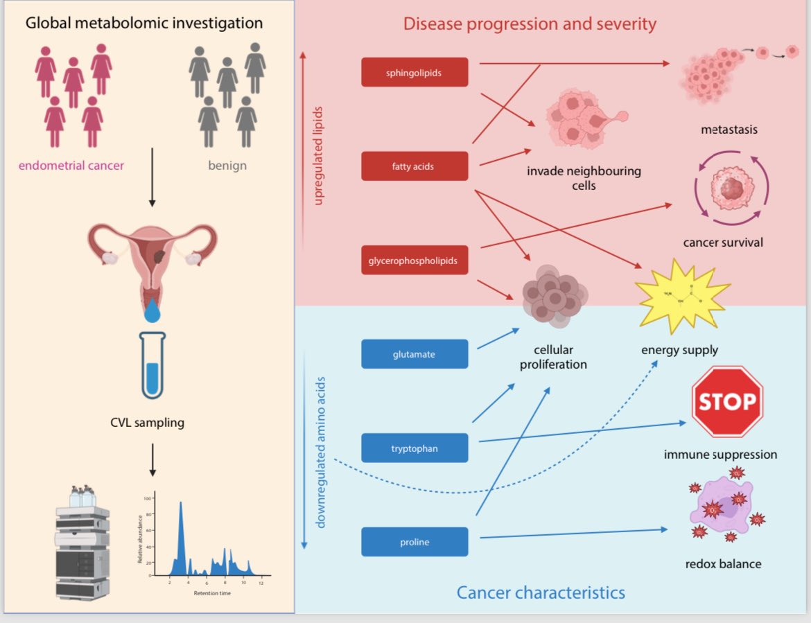 Pleased to share my latest publication in @CCR_AACR. A highly collaborative project utilising non-invasive samples and metabolomics to investigate endometrial cancer. Demonstrating promising clinical translation to move away from painful diagnostics. surl.li/tjauh