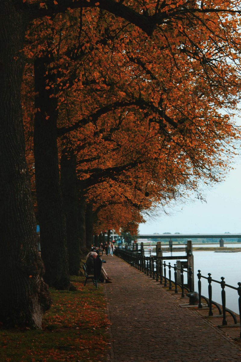 📍Deventer, Overste, Netherlands