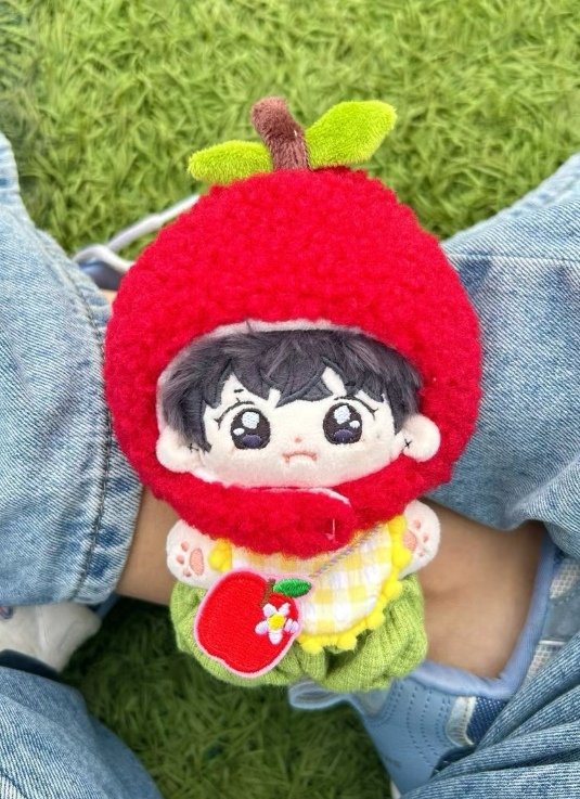 10cm heeseung doll 🔜